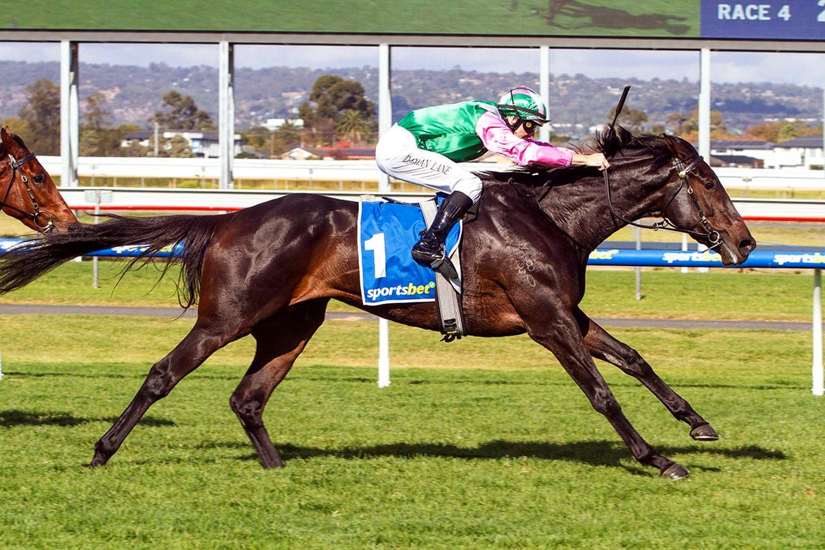 Positivity all class in SA Fillies Classic