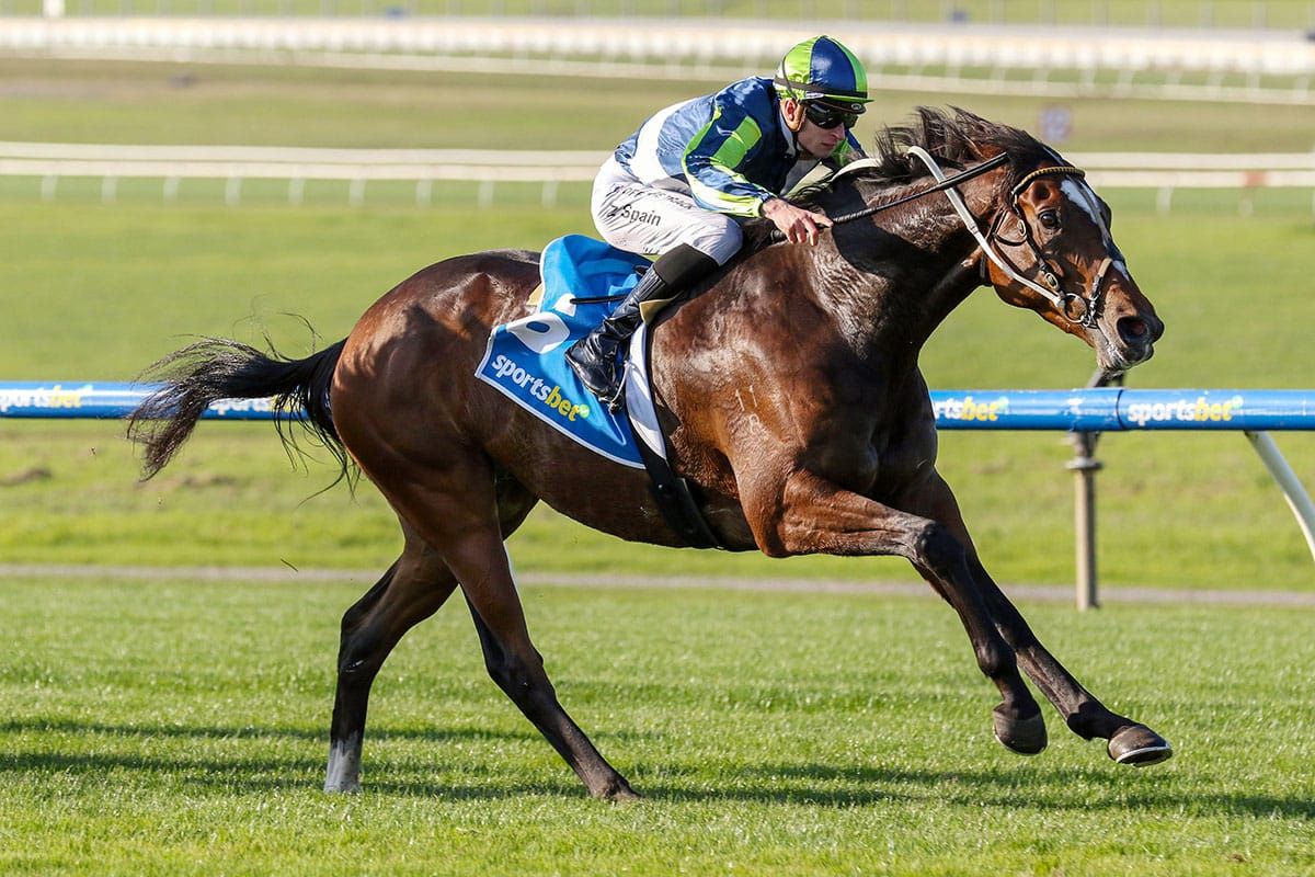 Pudding gets a sweet result at Sandown