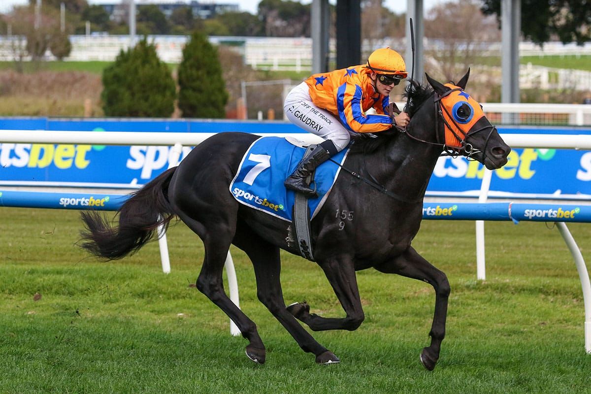 Savoir Faire prevails at Caulfield