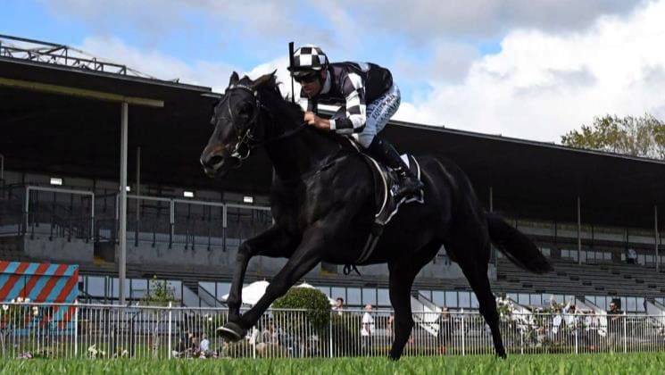 Sumi heads home-track team for Sharrock