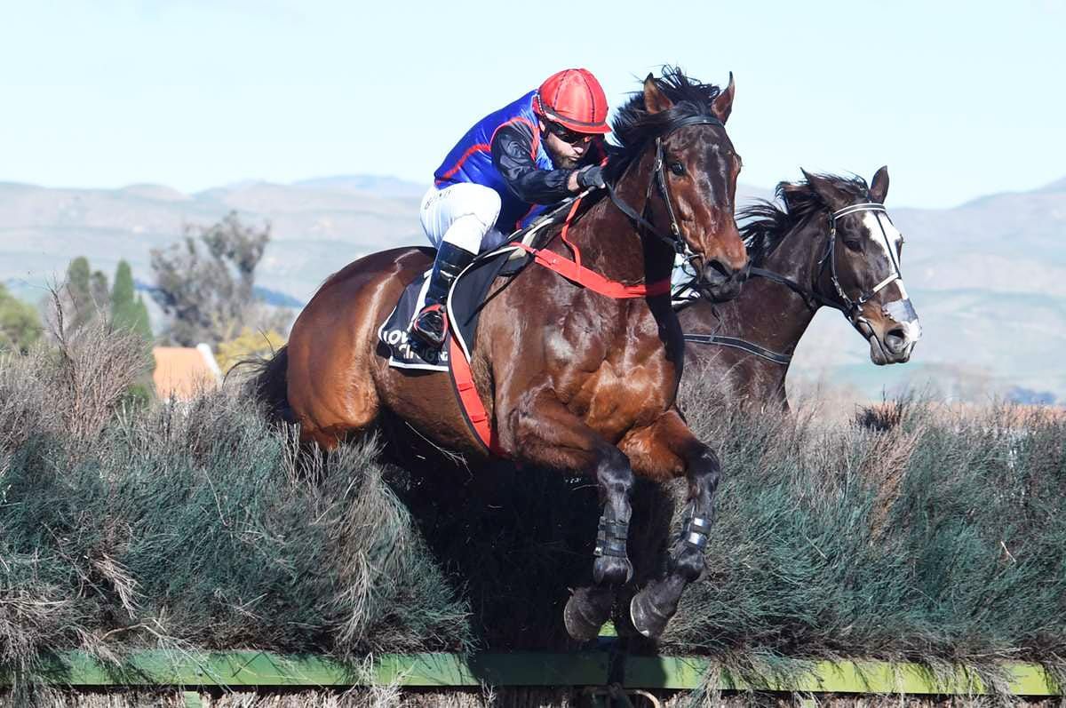 Torque Time to take on Hawke's Bay Steeplechase