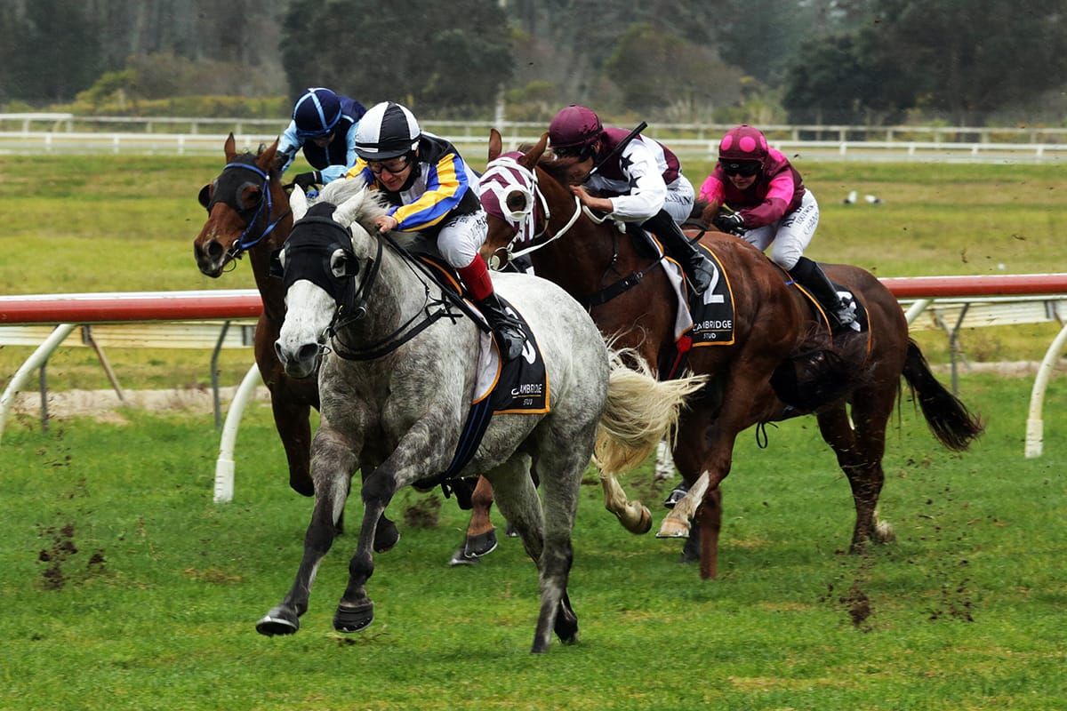 Group Three winner retired