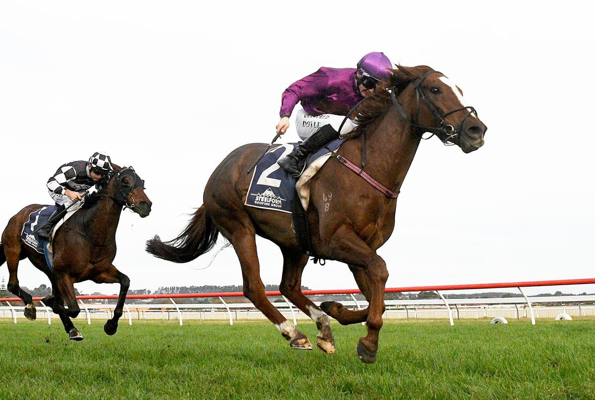 Belardo Boy too strong in black-type feature
