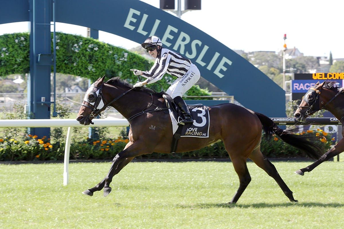 Two-time G1 winner ready to rebound at Rosehill