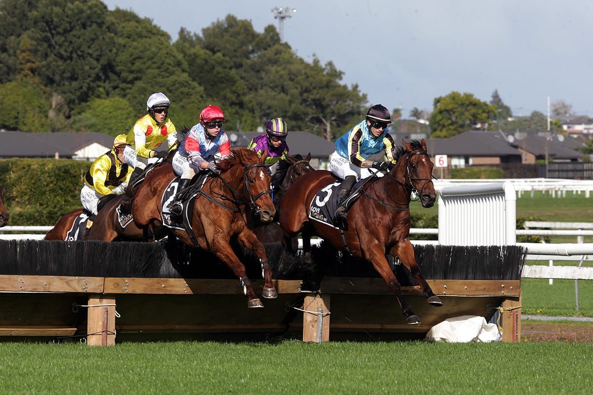 Berry The Cash buries rivals in Waikato Hurdles