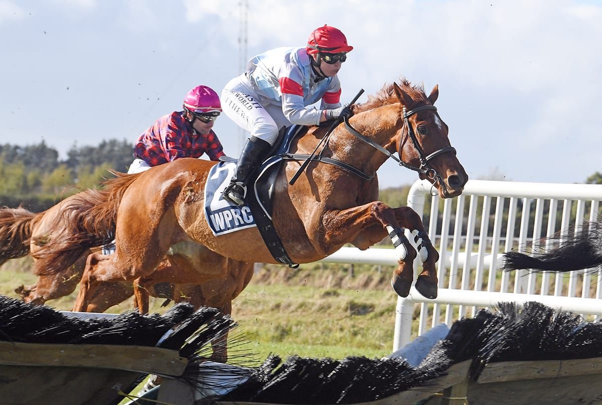 Jumper looking to cash in at Te Rapa