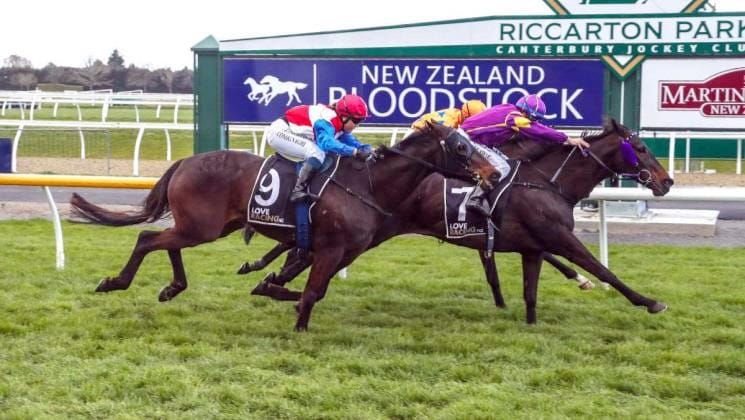 Heavy track ideal for Burnvue in Amberley Cup