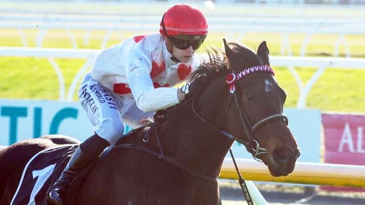 Hong Kong calling Imptee