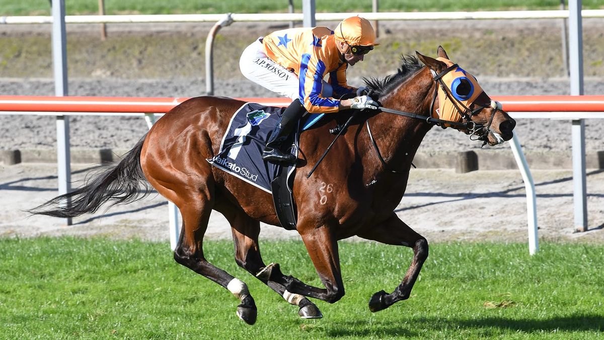 Te Akau notches up hometrack treble