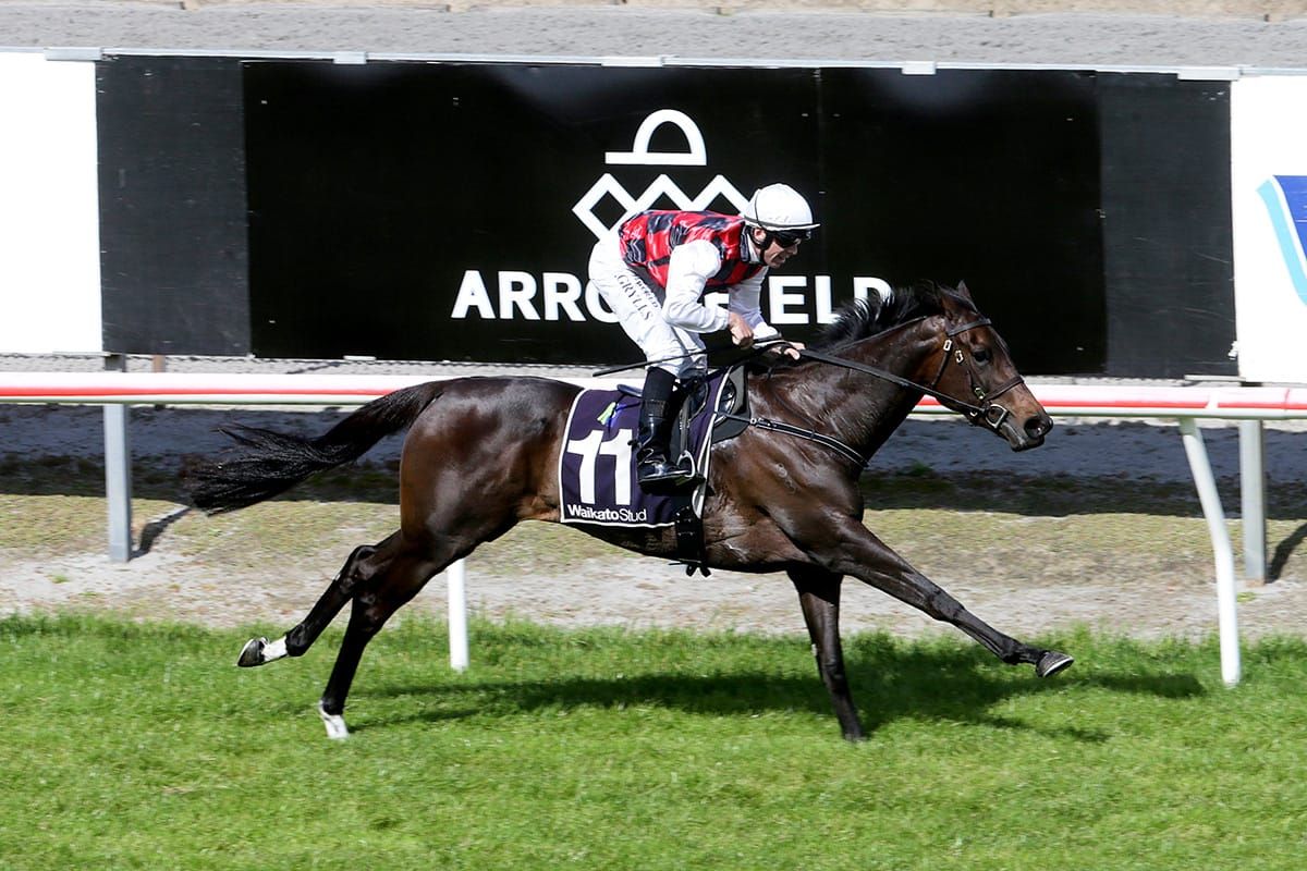 La Crique primed for Queensland test
