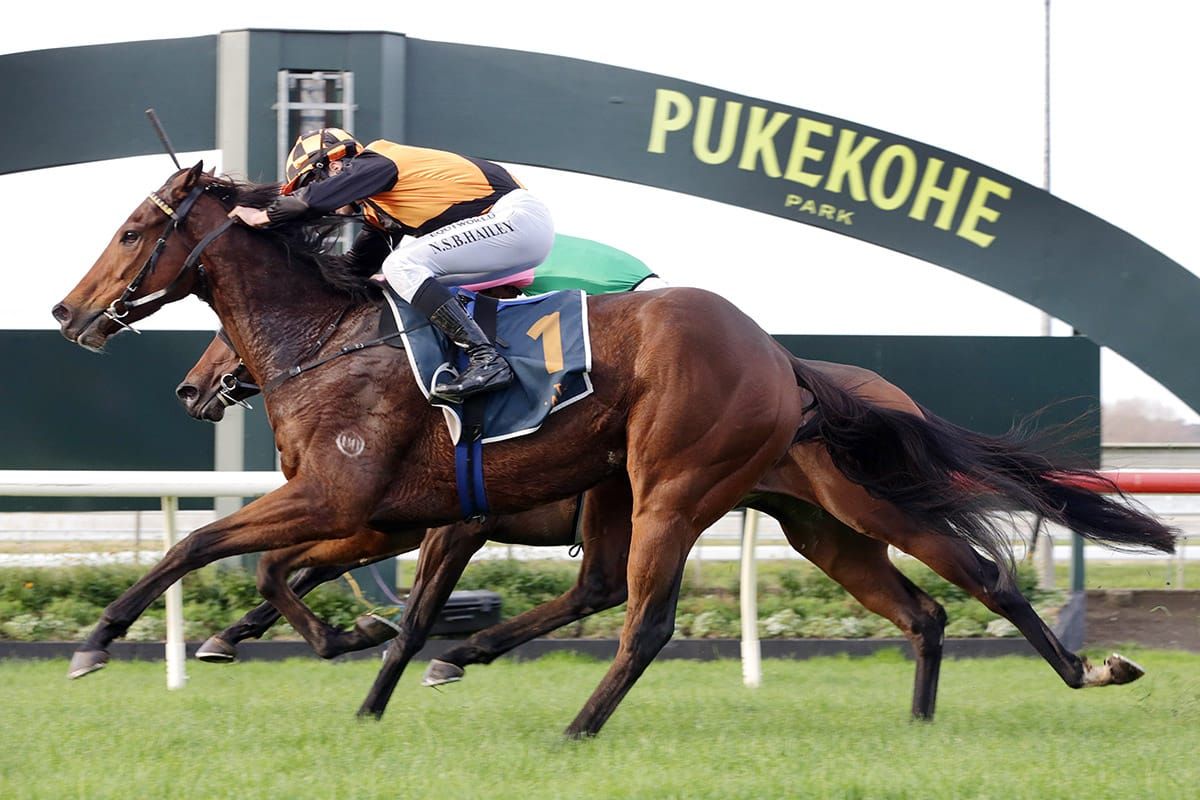 Little Bit of Love caps successful day for Wexford Stables