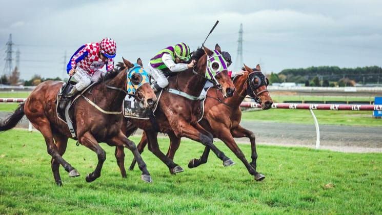 Loftys Gift ready for Riccarton test
