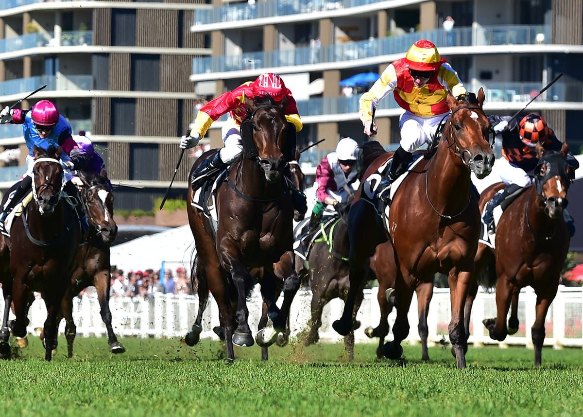 Megastar Heart digs deep for stakes success