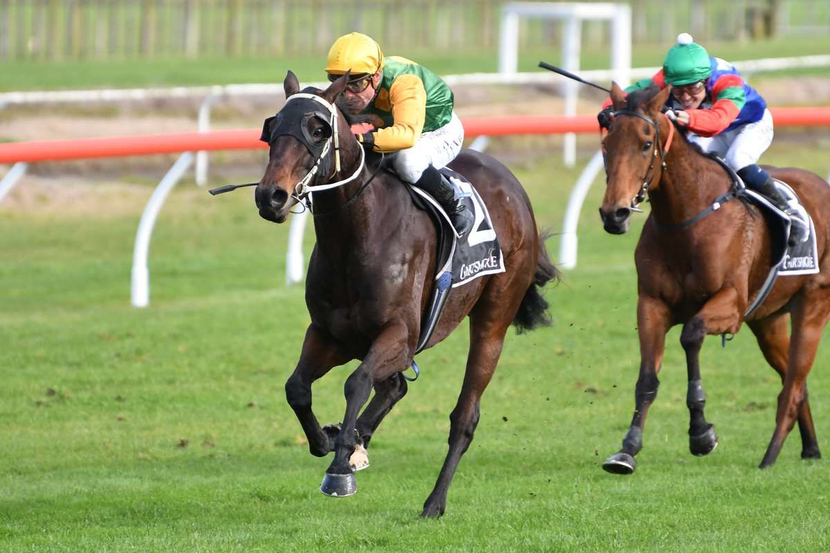 Mont Ventoux hunting maiden jumps success