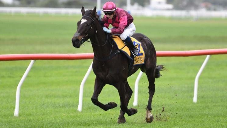 Williams well-represented at Oamaru meeting