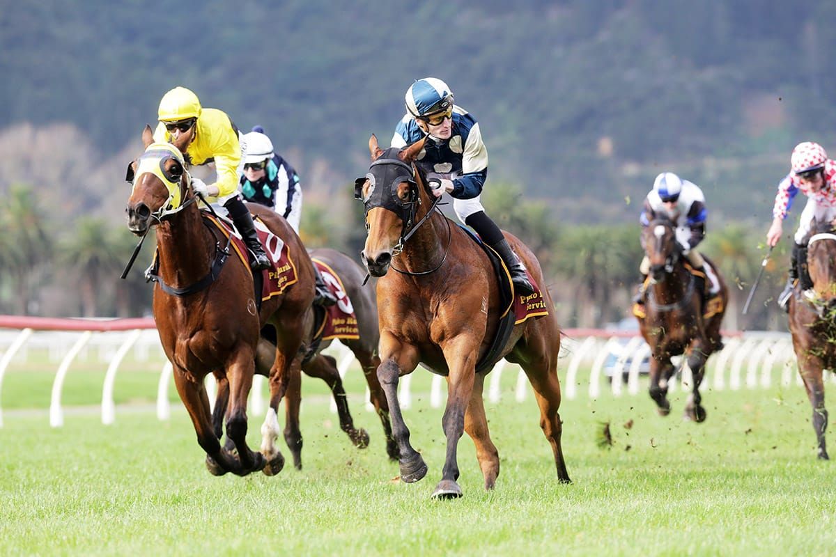 Pier back with a vengeance