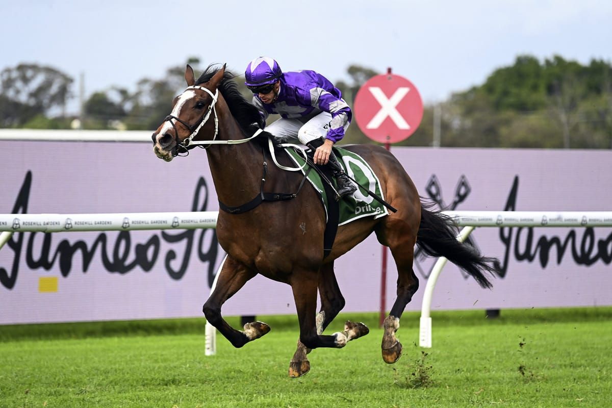 Strathtay stars in second Sydney start