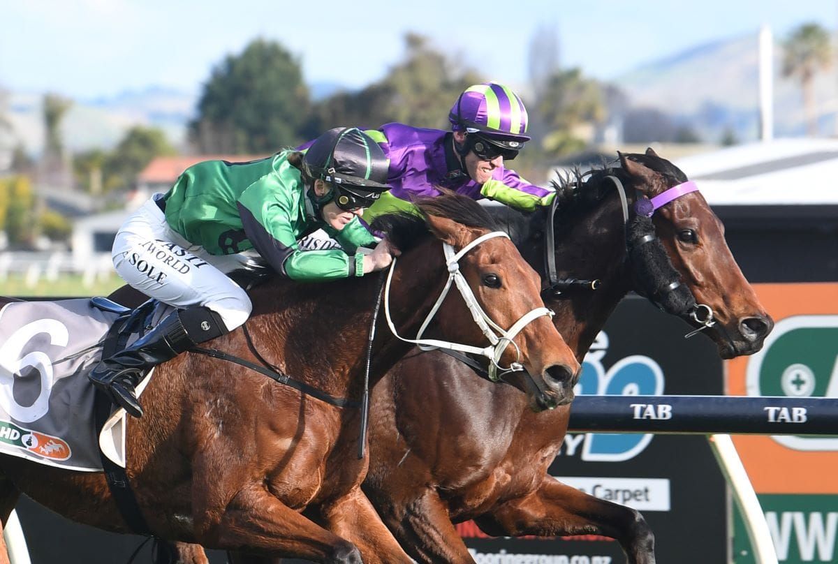 Tobias too tough in Poverty Bay Cup at Hastings