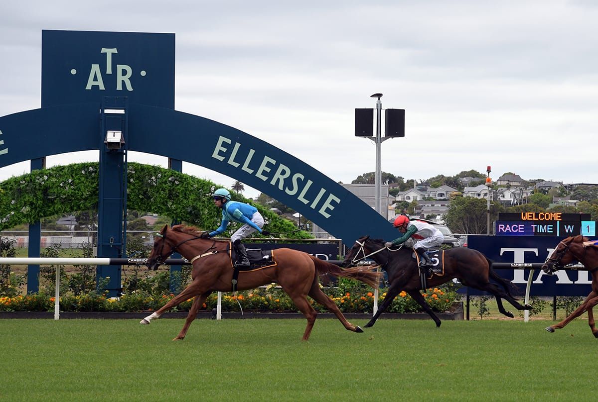 Crocetti building up to raceday return