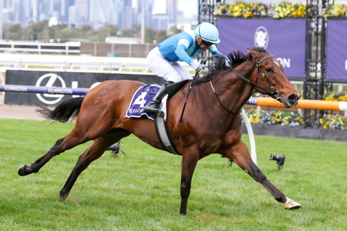 Massive Finals Day for Lindsay Park?