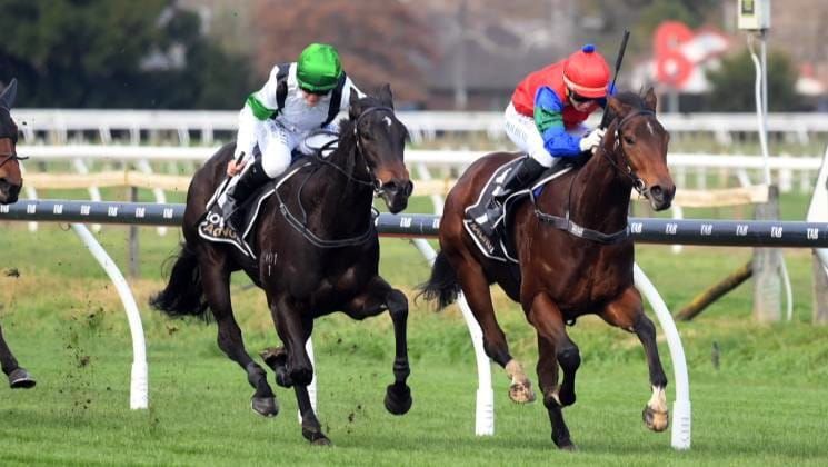 Grove Street gets Ferrando first win