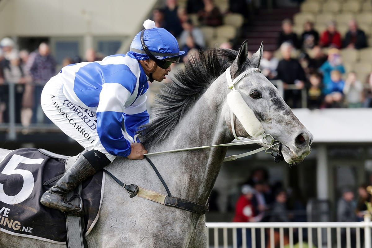 Marsh gest another 100-win season from Hula Beat