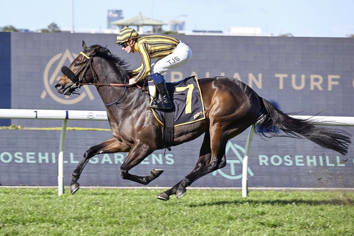 Dominant Jedibeel continues career-best campaign