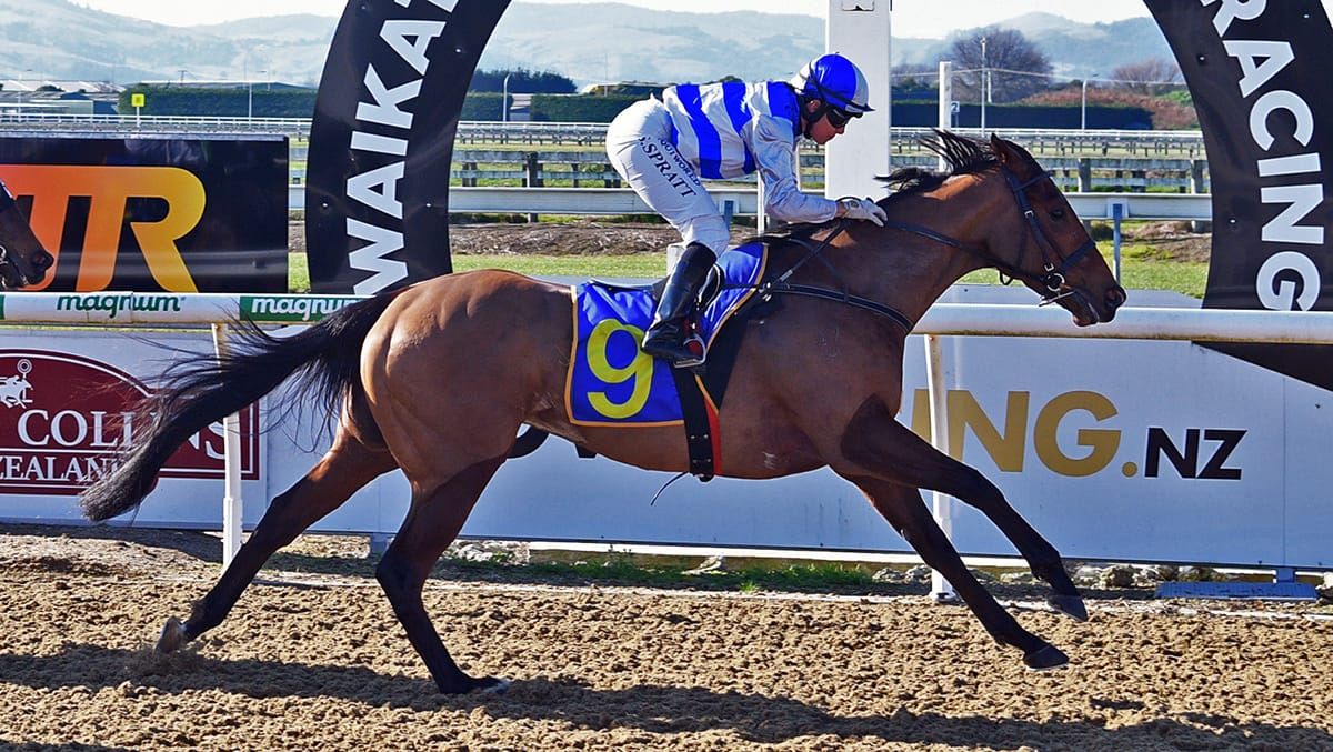 Success at Cambridge puts Branciforti on track for a lucrative target