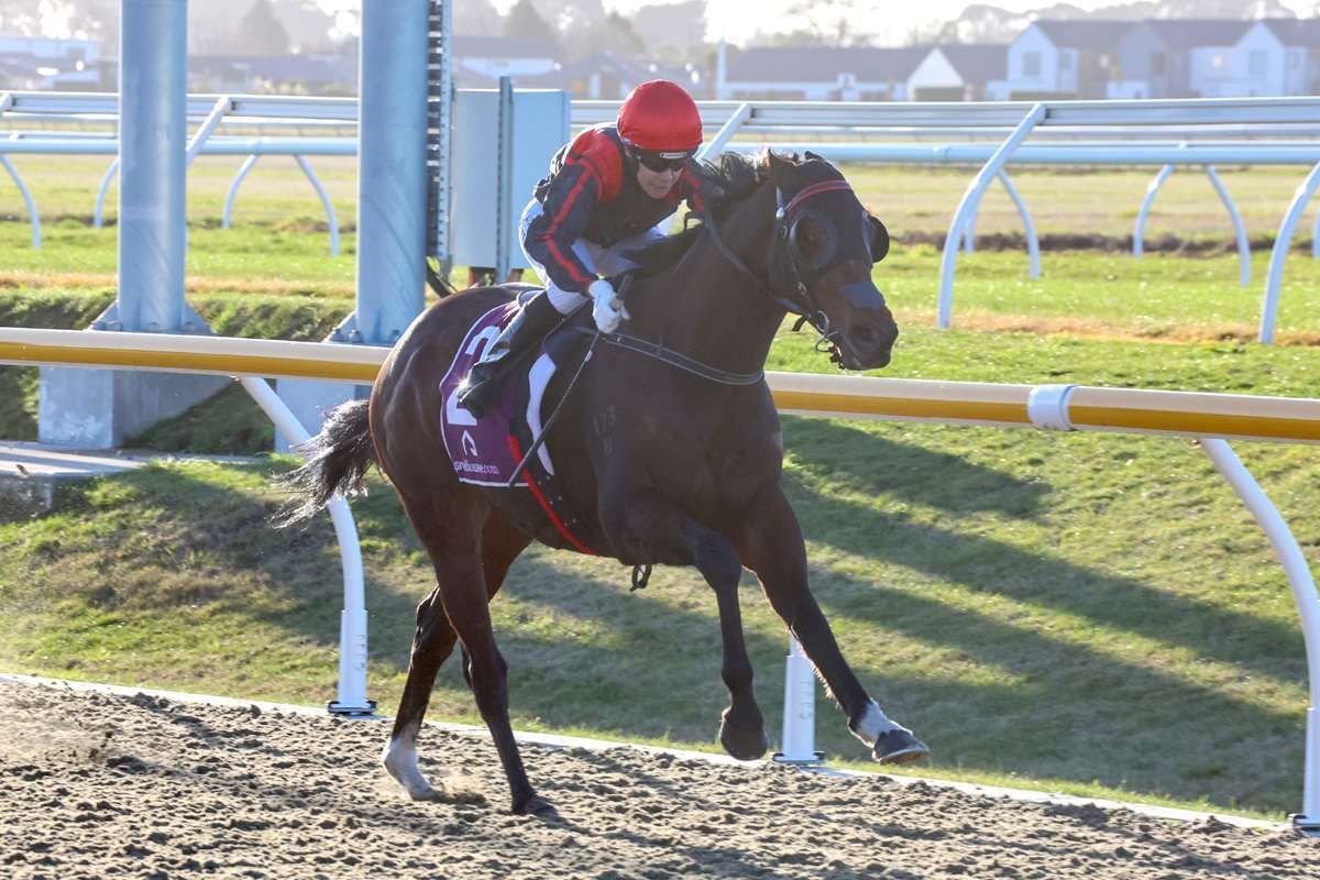 Carston team out in force at Riccarton
