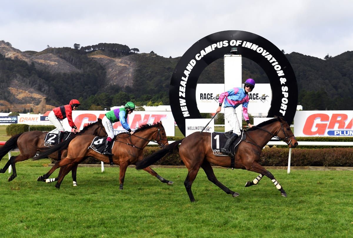 Second Wellington Hurdles Win for Nedwin