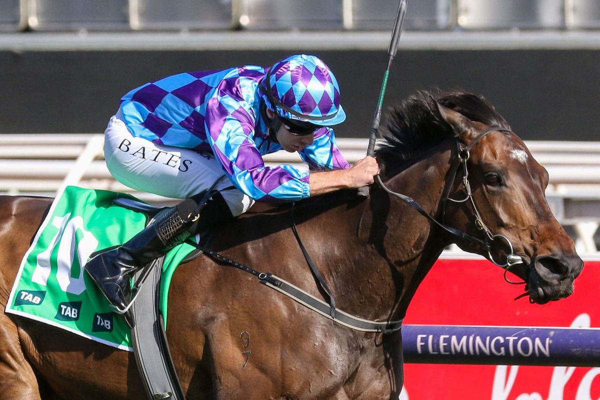 Spring stars to jumpout