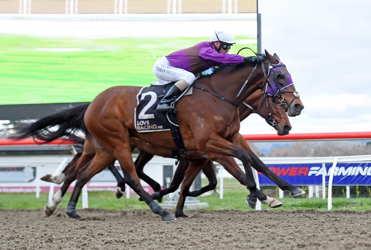 Latta dominates local synthetic meeting