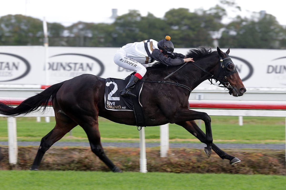 Forsman team not short of winter performers
