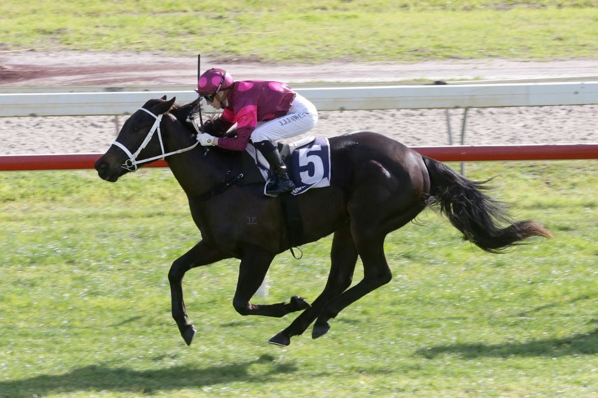 Vegas Queen reigns at Ruakaka