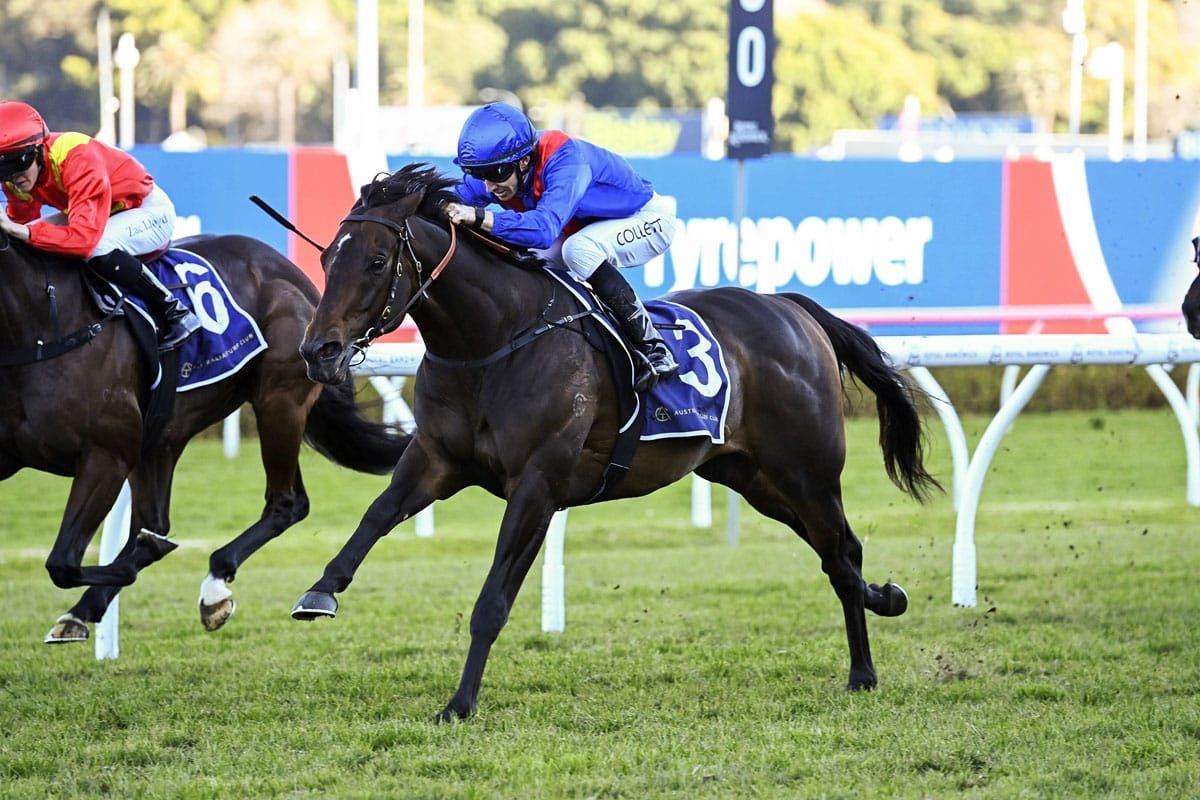 Cambridge Stud relish Australain treble