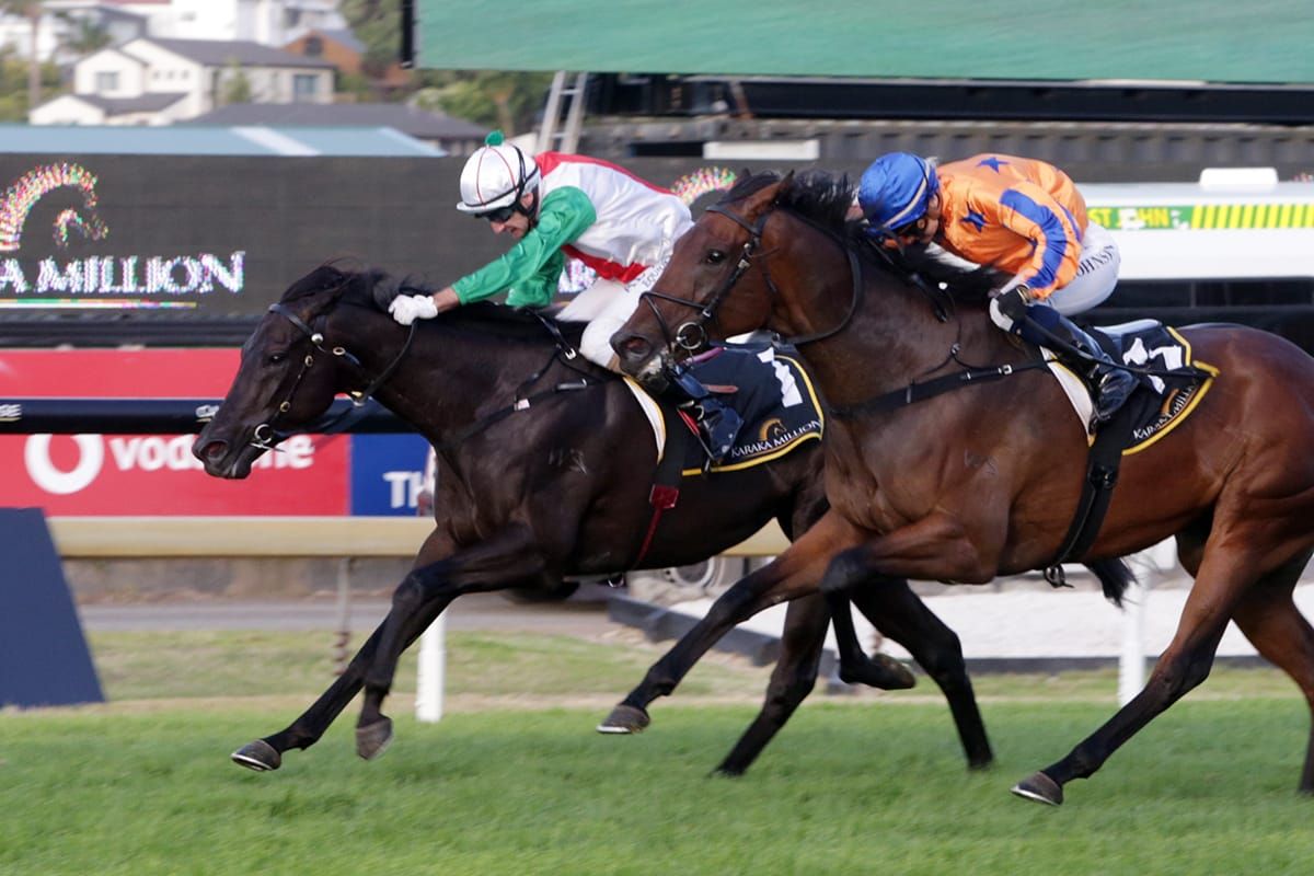 Caulfield test first-up for frequent flyer Kiwi