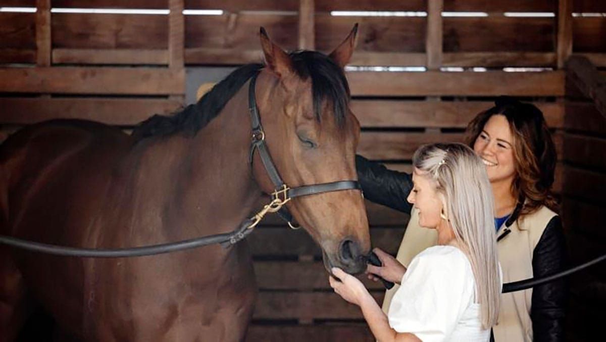 El Roca 4YO ready to make his presence felt again