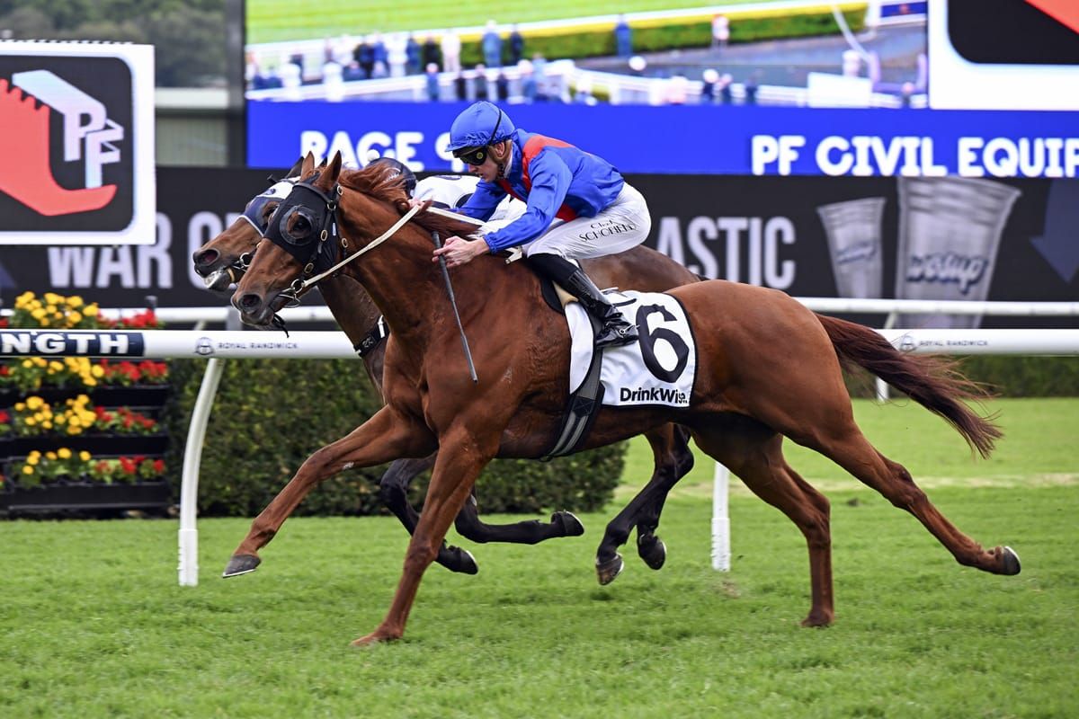 In-form gelding set to continue Golden run