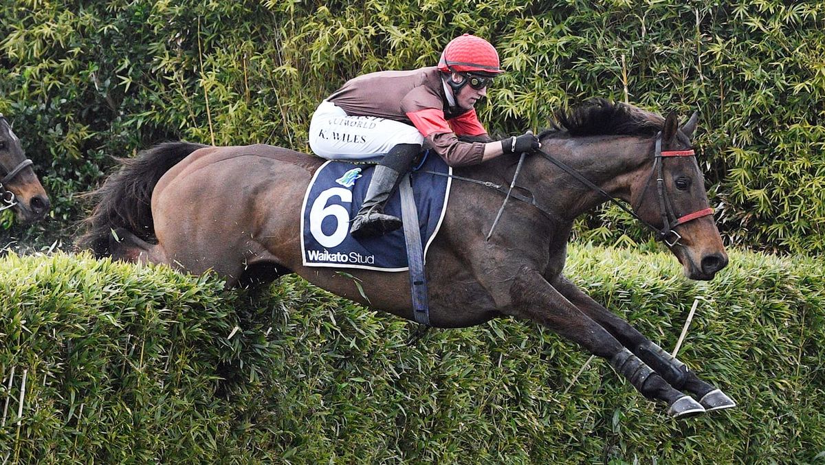 Famous colours salute in Pakuranga Hunt Cup