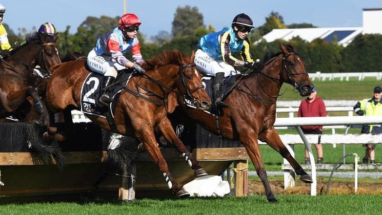 NZTR to Consult on Future of Jumps Racing