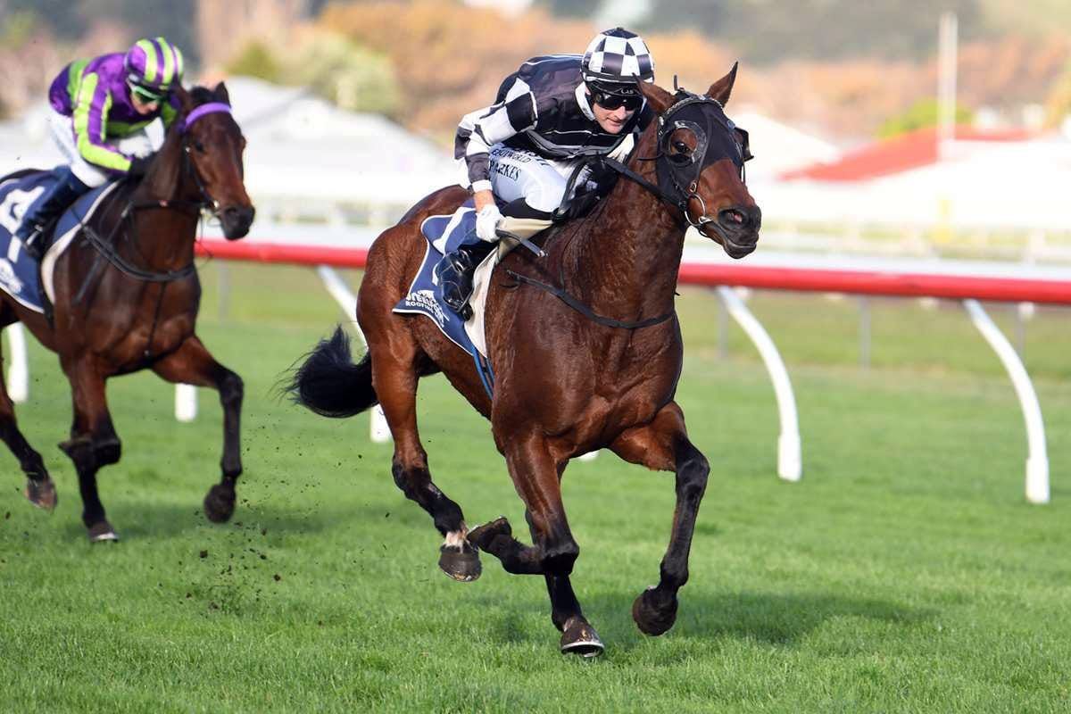 Feather weight for winter marvel in Cup