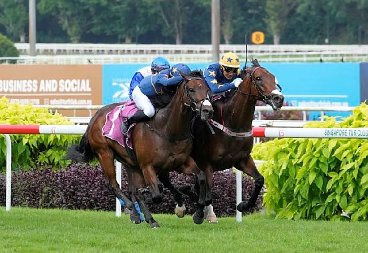 Former Singapore stars eye Goodwood