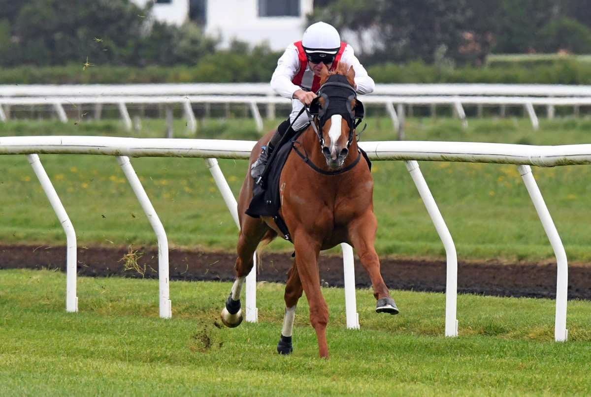 Poetic Champion set for three-year-old debut