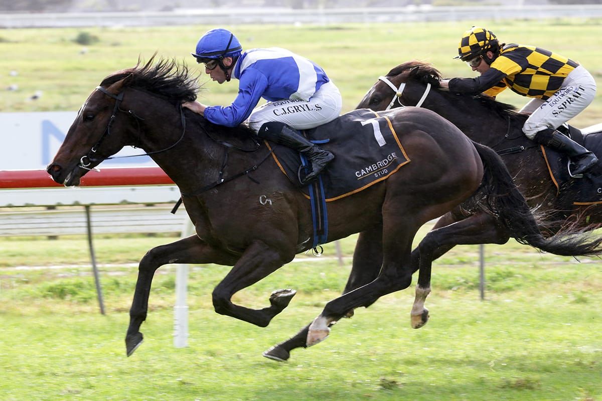 Stable quinella in Northland Breeders’ Stakes