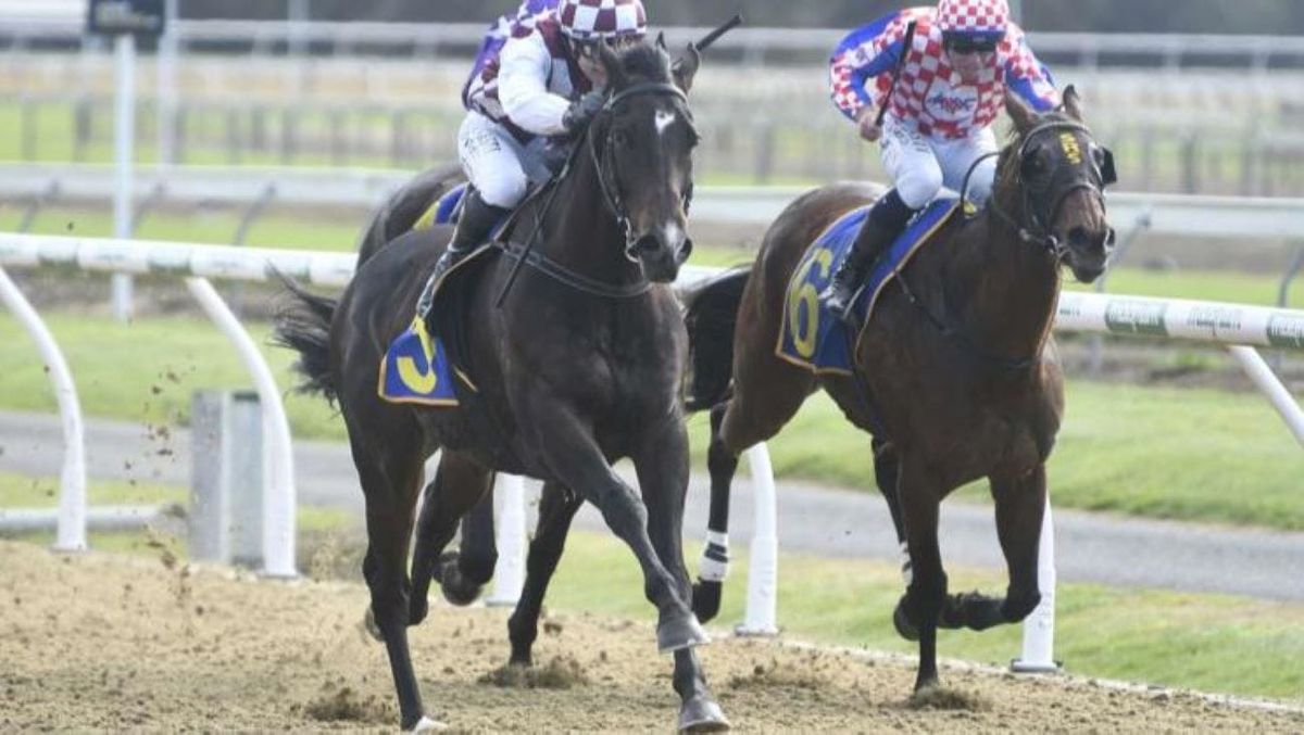 Foote focussed on Cambridge contest