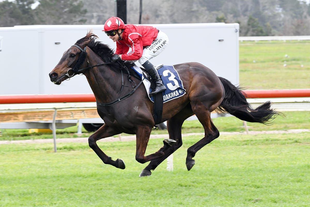 Bosch doubles up at Ruakaka
