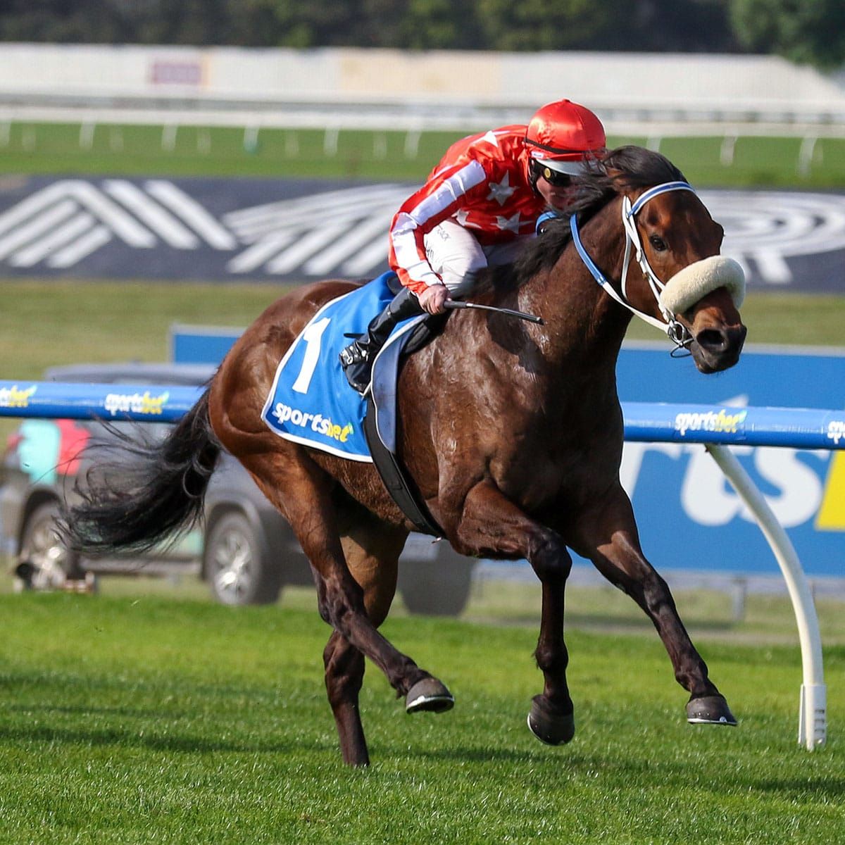 Desert Lightning strikes at Sandown