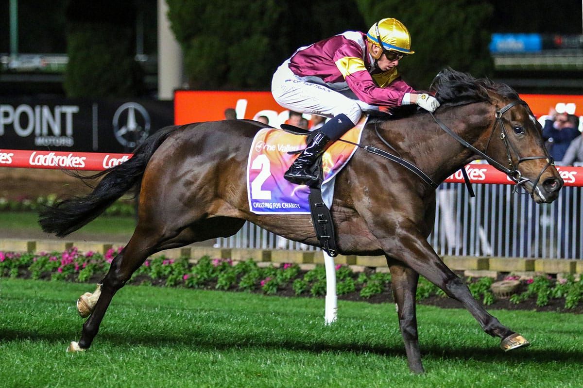 Stutt Stakes success for Evaporate