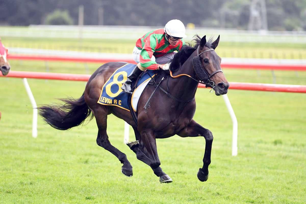 Empire Rose a possibility for Faraglioni