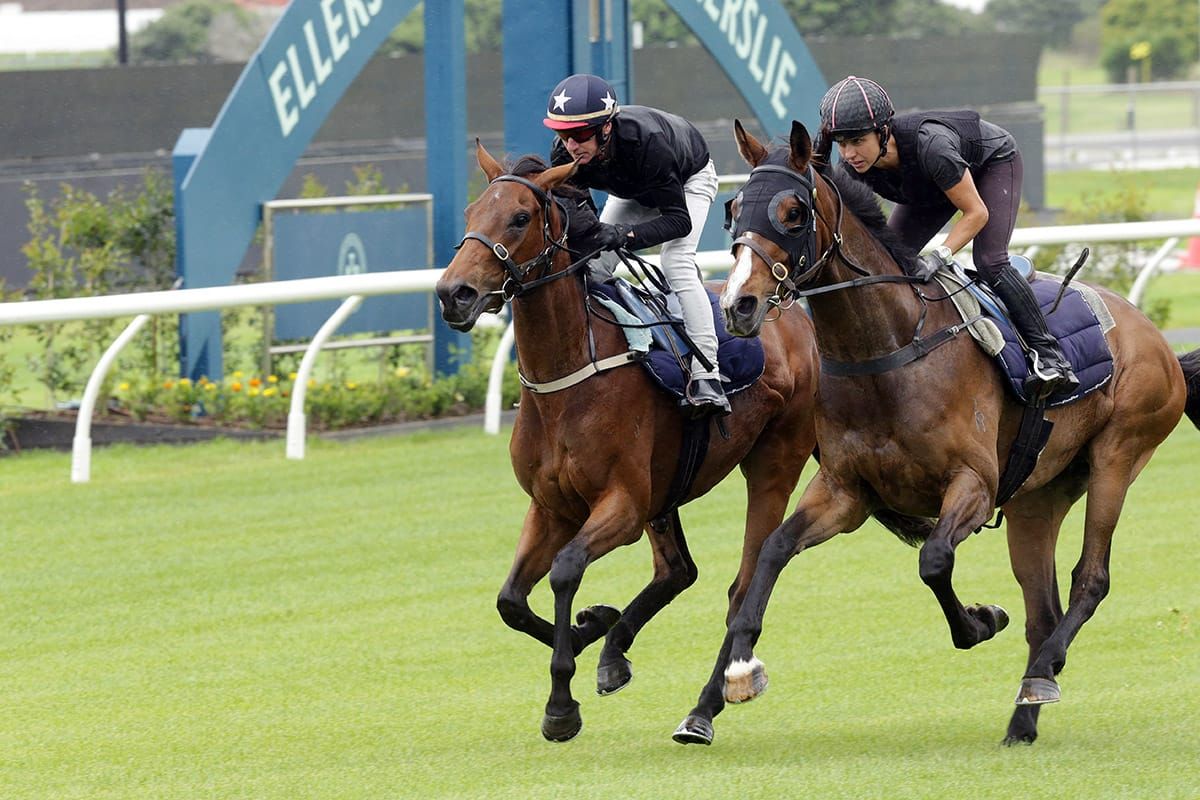 Ellerslie nearing return